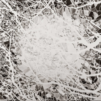 Alla ricerca del grigio #2, 2014. Matita, gouache, filo da cucire e gesso su tela; 100x100cm 