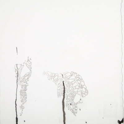 untitled, 2013. ink and pencil on archival paper, 21x19.5cm / 8.3x7.7in 15 of 25